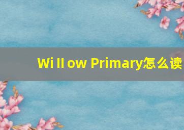 WiⅡow Primary怎么读